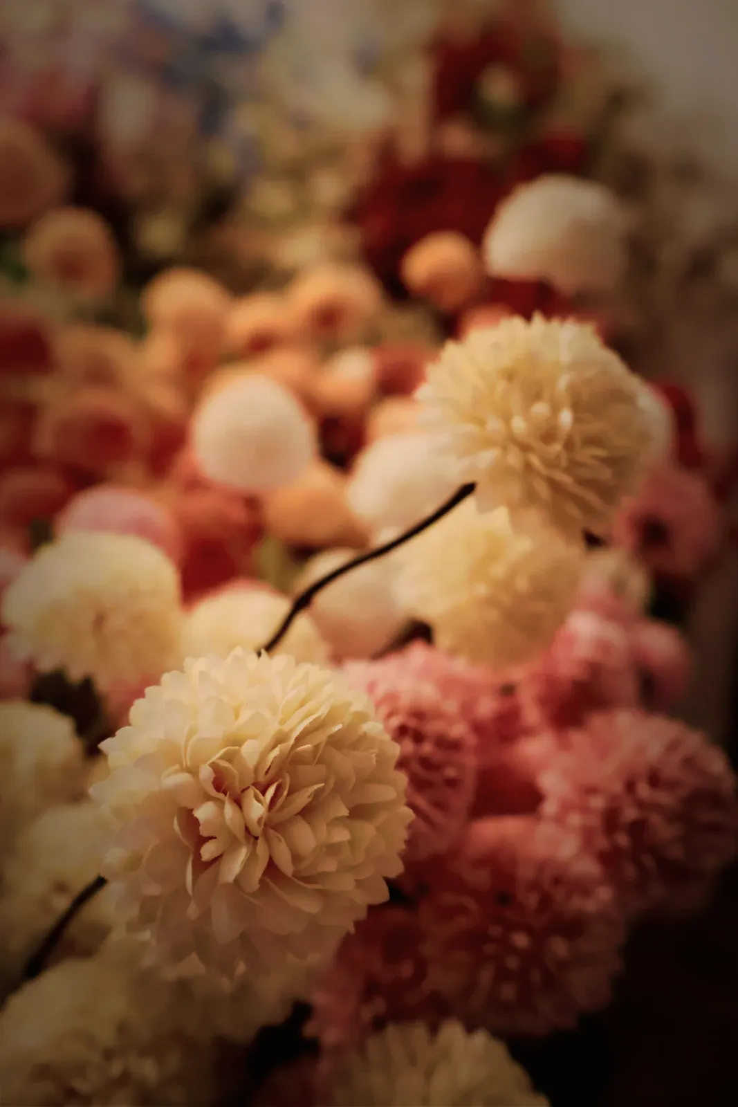 Zijden bloemen uit de winkel