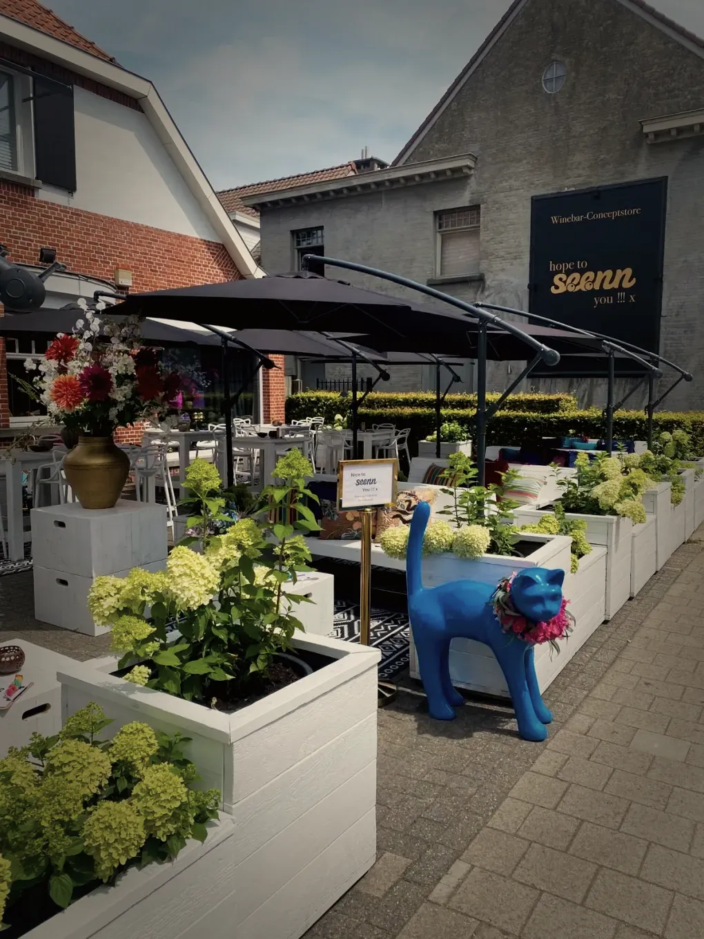 Vooraan aan de steenweg