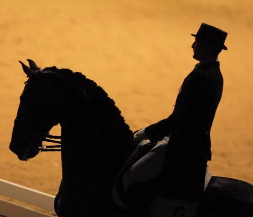 Een ruiter te paard, in silhouet