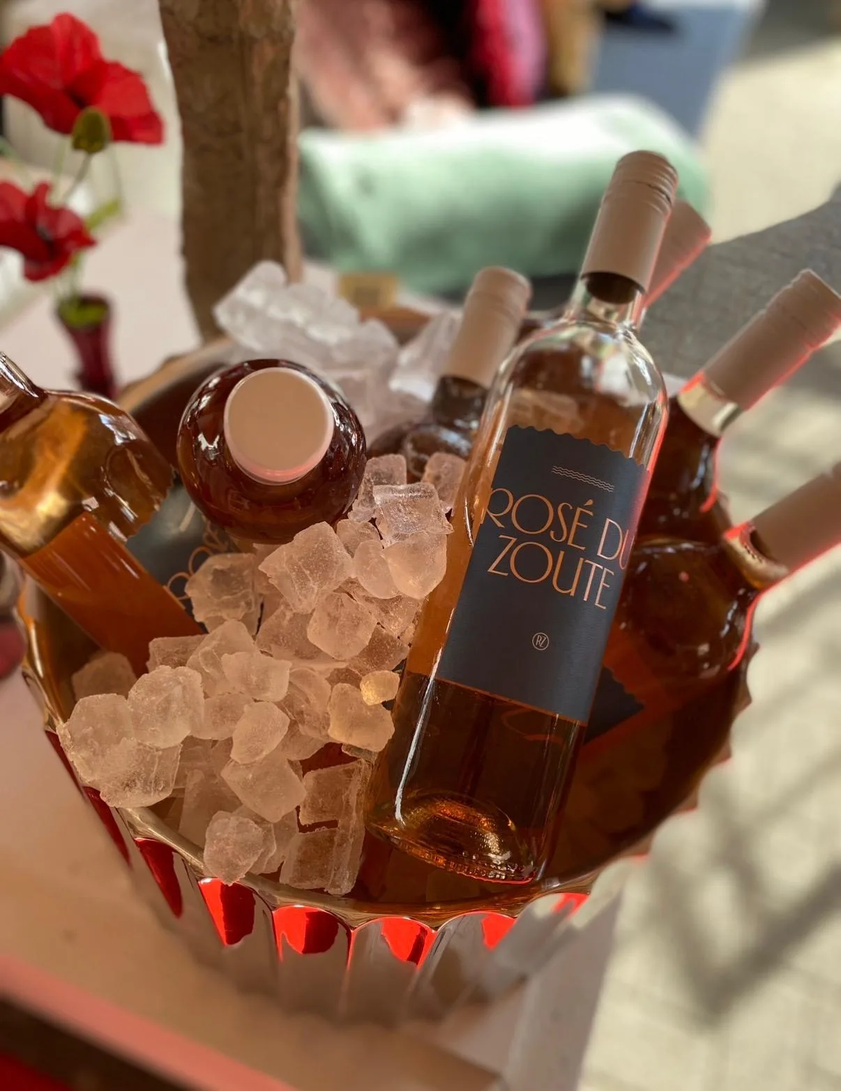 Rosé du Zoute in de ijsemmer